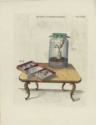 Tab. CXXXIV.