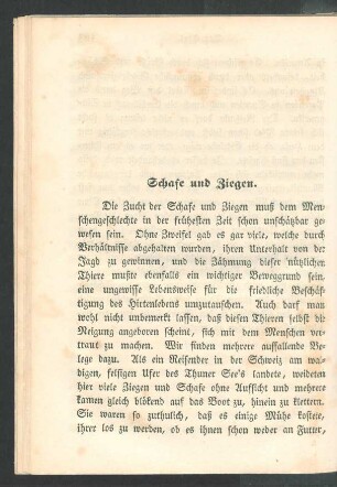 Schafe und Ziegen.
