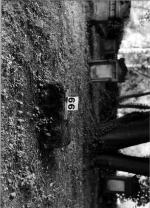 Grabstein 66 (Index: 100106164) Zustand: nur Sockel vorhanden Maße HxBxT: 15x50x25 cm Beschreibung: Sockel: Grabstein 66