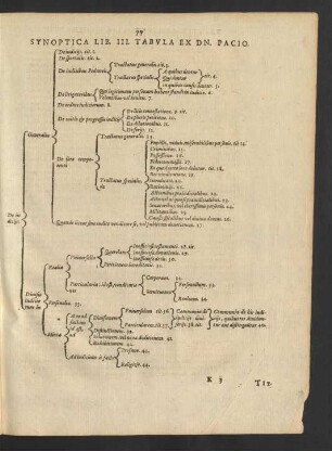 Synoptica Lib. III. Tabula Ex Dn. Pacio