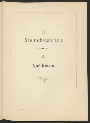 A. Aprikosen