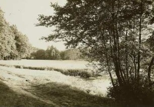 Seifersdorfer Tal bei Wachau-Seifersdorf. Oberhalb der Marienmühle