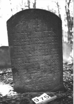 Grabstein 975 (Index: 99899517) Material: Sandstein Zustand: stellenweise stark verwittert Maße HxBxT: 91x57x9 cm Beschreibung: Stele mit Segmentbogenabschluss, im Bogenfeld hängende Blüte und Ranken Symbolik: Blüte, Ranken: Grabstein 975