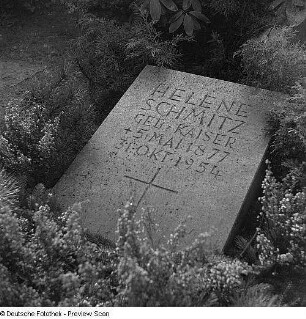 Grabstein für Helene Schmitz : Dresden. Friedhof (vielleicht auf dem Weißen Hirsch). Grabstein für Helene Schmitz