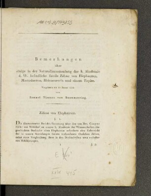 Zähne von Elephanten.