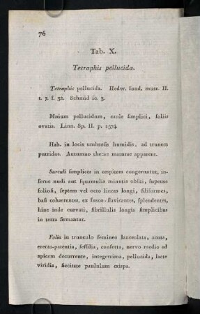 76-81, Tab. X. Tetraphis pellucida.