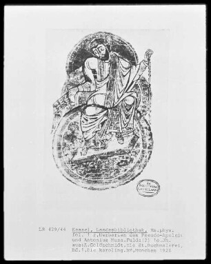 Herbarien des Pseudo-Apuleius und Antonius Musa. & Essen 305