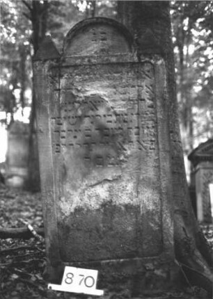 Grabstein 870 (Index: 99899313) Material: Sandstein Zustand: stark verwittert Maße HxBxT: 126x59x13 cm Beschreibung: Stele mit eingezogenem Rundbogenabschluss, Einzüge pyramidenförmig erhöht: Grabstein 870