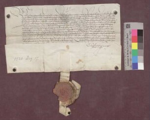 Kaiser Karl V. bestätigt die Freiheiten der Herrschaft Hauenstein.