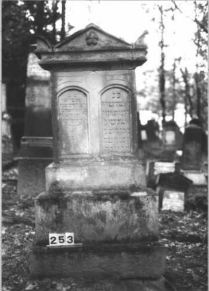 Grabstein 253 (Index: 99898624) Material: Granit Zustand: gut erhalten Maße HxBxT: 237x64x54 cm Beschreibung: Obelisk, am Sockel Palmzweig und Blüte, Doppelgrabstein Symbolik: Palmzweig, Blüte Besonderheit: Doppelgrab für Eheleute: Grabstein 253