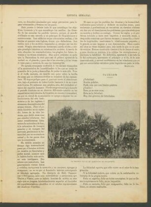 Ilusión