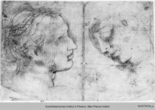 Studien zur Dekoration der Sala dei Cento Giorni : Studie des weiblichen Gesichts in Profil und Unteransicht