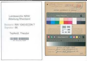 Entnazifizierung Theodor Tepferdt , geb. 06.04.1908 (Handwerker)