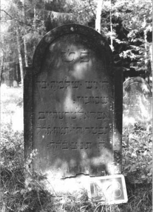 Grabstein 413 (Index: 99895871) Material: Sandstein Zustand: sehr gut Maße HxBxT: 122x64x9 cm Beschreibung: Stele mit eingezogenem Rundbogenabschluss: Grabstein 413