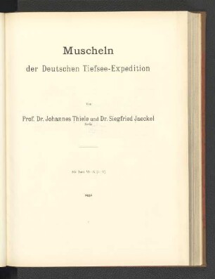 Muscheln der Deutschen Tiefsee-Expedition.