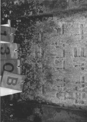 Grabstein 130 (Index: 99608814) Material: Sandstein Zustand: stark verwittert mit Textverlust Maße HxBxT: 90x60x13 cm Beschreibung: Stele mit Spitzgiebel, vertiefter Textteil in gleicher Form: Grabstein 130B