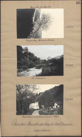 Kaysersberg: Blühende Bäume