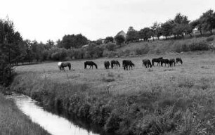 Klipphausen. Saubach an der Brücke beim Gut