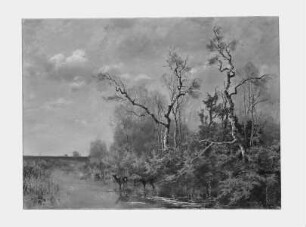 Moorlandschaft mit zwei Rehen