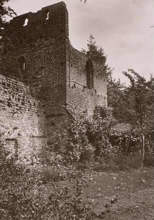 Turmruine und Stadtmauer : Pegau, Turmruine und Stadtmauer in den städtischen Anlagen