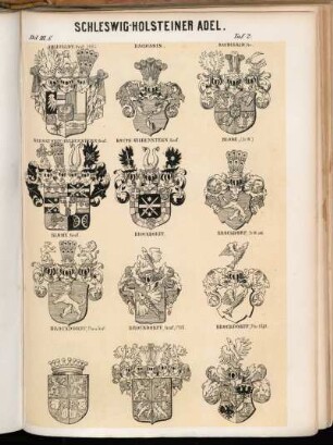 Taf. 2. Ahlefeldt, Graf 1665. - Baudissin. - Baudissin, Gr. - Bernstorff-Gyldenstern, Graf. - Knuth-Gyldenstern, Graf. - Blome (St. W.). - Blome, Graf. - Brockdorff. - Brockdorf, St. W. and. - Brockdorff, Fhr. u. Graf. - Brockdorff, Graf 1706. - Brockdorff, Fhr. 1691