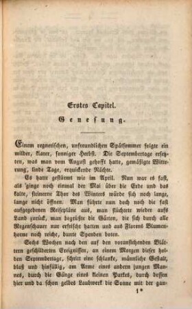 Die Ritter vom Geiste : Roman in neun Büchern, 5