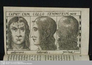 Caput Cum Collo Symmetrum