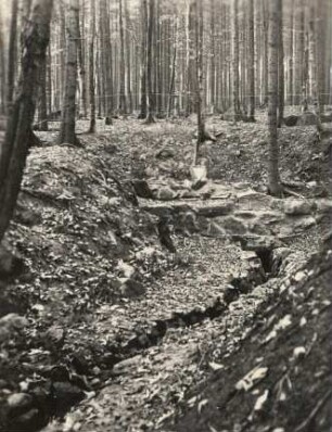 Mittellausitzer Bergland. Wesenitzquelle am Valtenberg