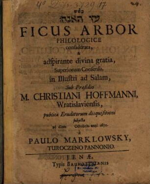 [...] Ficus Arbor