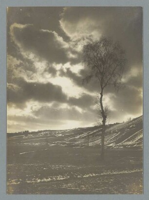 Am Pöhlberg