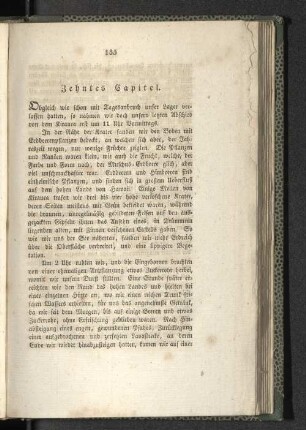 Zehntes Capitel.