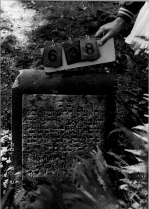 Grabstein 638