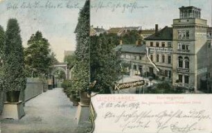 Kaninchen : Kaninchen. Kohlezeichnung (1963; E. Richter). Dresden-Striesen, Borsbergstraße 11, Atelier der Bildhauerin