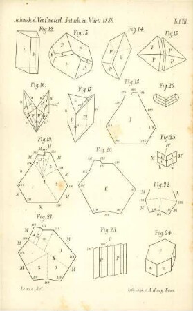 Tafel VII