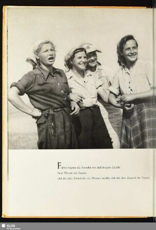 [Die jungen Frauen]