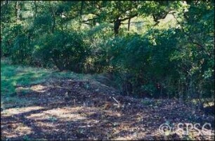 Potsdam, Park Sacrow, Seitwärts planierter Kulturboden am Rande des ehemaligen Grenzstreifens.