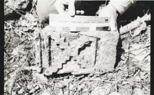 Hobomo, Miscellaneous Sculpture 79 (HBM: Msc. 79)