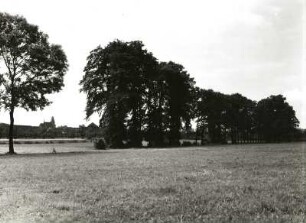 Leipziger Land. Auenlandschaft