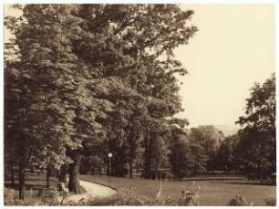 Gartenanlage Richard-Wagner-Festspielhaus, Bayreuth: Park mit Bäumen