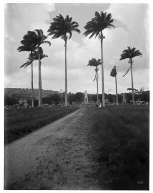 Fort de France, Martinique. La placa de la Sarane im Hafenviertel mit Jospehinenmonument (um 1910) unter Palmen