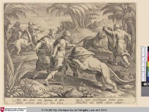 [Löwenjagd mit Schwertern und Tüchern; Lion hunt]