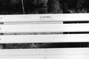 Tharandt-Triebisch, Tharandter Wald. Bank in den Triebischwiesen