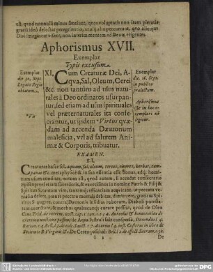 Aphorismus XVII.