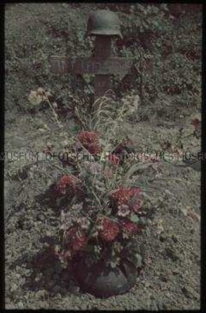 Soldatengrab mit Blumen