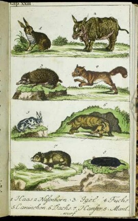 Cap. XXIII. 1. Haas. -8. Maulwurf. - 1. Büffel.- 9. Eber.