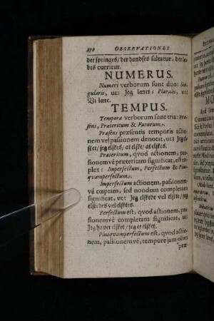 Numerus.