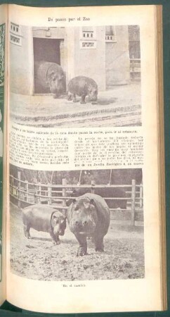 De paseo por el Zoo