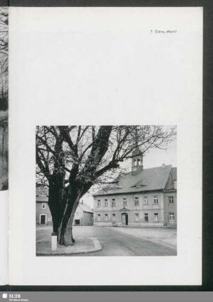 Elstra, Markt