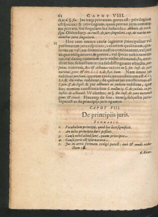 Caput VIII. De principiis iuris.