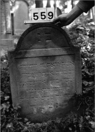 Grabstein 559 (Index: 99802785) Material: Sandstein Zustand: leicht verwittert Maße HxBxT: 76x55x9 cm Beschreibung: Stele mit Karniesbogen, profiliert. Rand, Giebelfeld: Grabstein 559